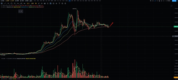 比特币生态大变革：Taproot Assets主网上线能否引爆新浪潮？